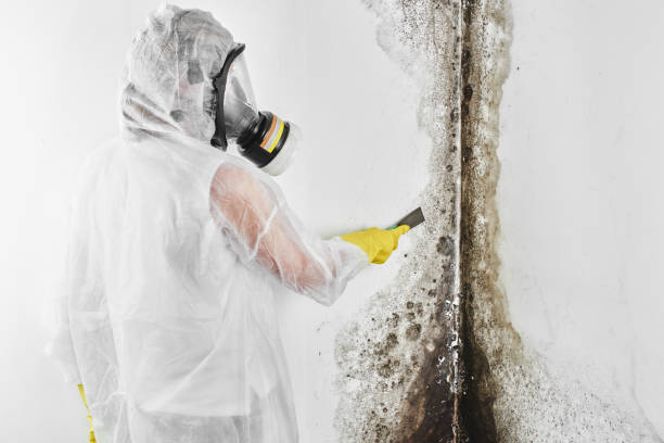 Best Mold Prevention Services  in Simpsonville, SC